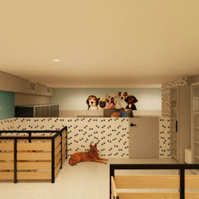 La Pet House 03