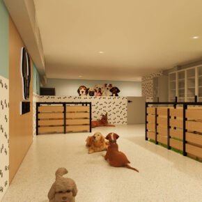 La Pet House 04