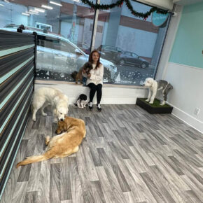 La Pet House 11